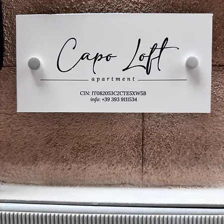 Capo Loft 公寓 巴勒莫